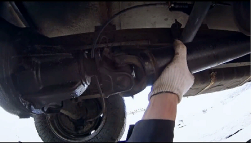 недуги газелей